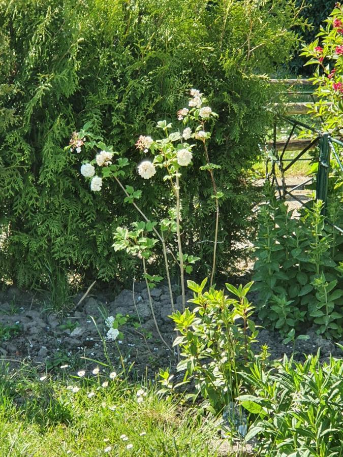 Rekerlanden 177 Vakantiewoning Nabij Strand Warmenhuizen Exteriör bild